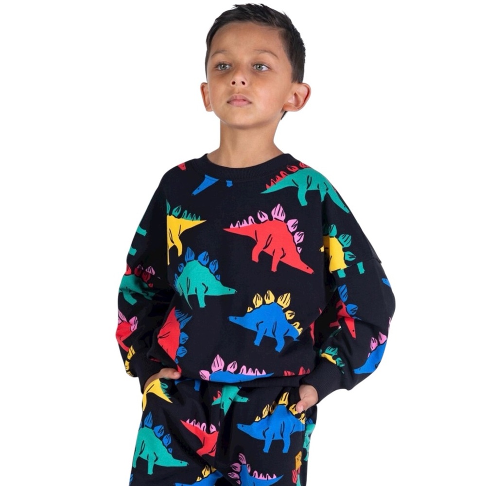 Rock Your Kid Dino Time Sweatshirt 6
